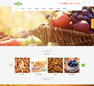 水果蔬菜食品类绿色网站模版w0021